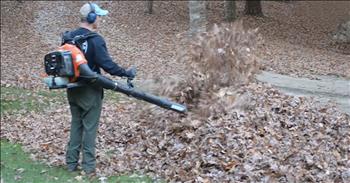 Funny Kids Jump Out Of Leaves To Scare Dad