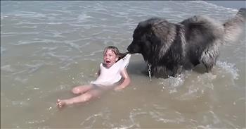 Dog Pulls Little Girl From Rough Waves