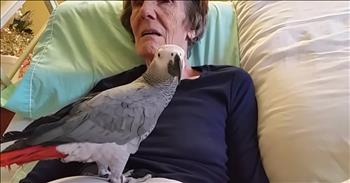 Parrot And Dying Owner Say Goodbye After 25 Years