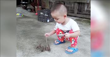 Precious 3-Year-Old Feeds His Birds