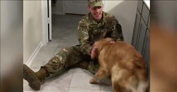 Adorable Dog Is Delirious After ‘Best-Bud’ Soldier Returns Home