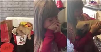 Heart-warming Video Shows Amazing Puppy Surprise for Young Girl