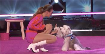 Dog Trainer Ashleigh Returns After Losing Pudsey