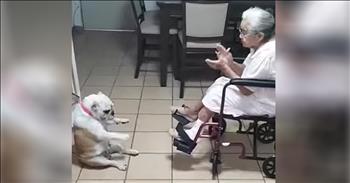 Dog Dances Excitedly While Granny Sings To Him