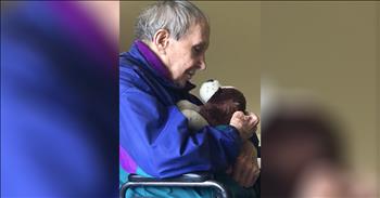 Family Gives Dad With Dementia Stuffed Animal Replica Of Beloved Dog