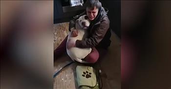 Homeless Man And Lost Dog Are Reunited