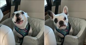 Determined Doggy ‘Argues’ With Owner After His Park Is Closed For the Day