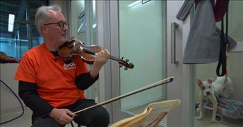 Broadway Violinist Performs In Animal Shelters For Abused Dogs