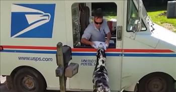 Excited Dog Retrieves Mail From Mail Man