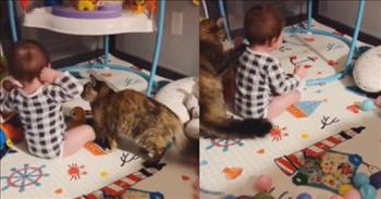 Kind Cat Comforts Crying Baby