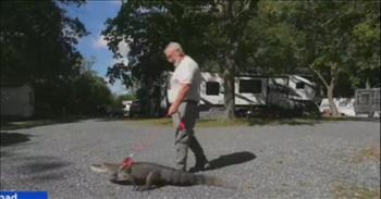 Emotional Support Alligator Helps Elderly Man Overcome Depression