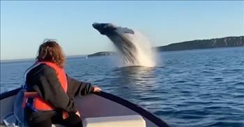 Dad Captures Incredible Moment Awe-Struck Daughter Spots Whale