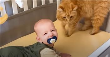 Cat’s Tender Morning Routine With Baby Caught On Camera